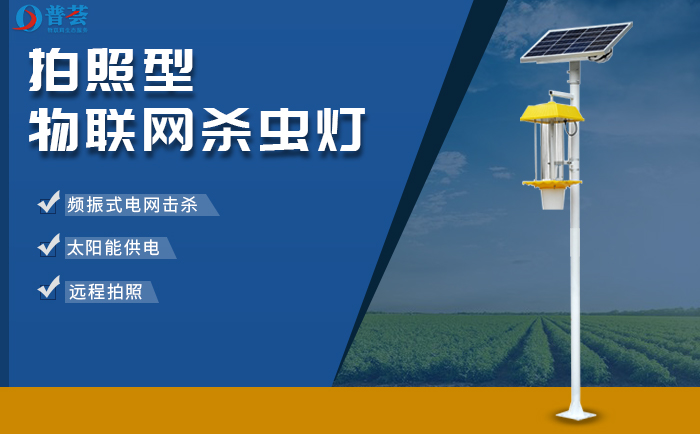 太陽能殺蟲燈亮，害蟲就少了