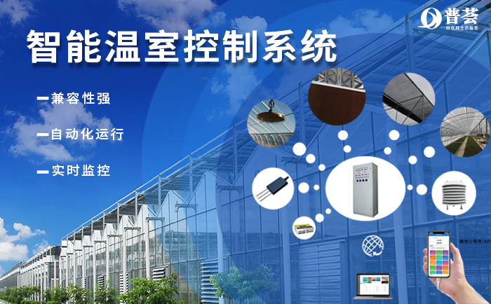 ?  武漢新普惠“加持”的現(xiàn)代農(nóng)業(yè)有多牛？